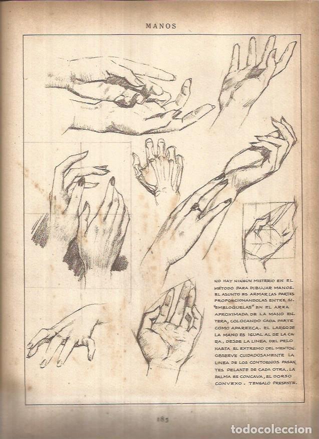 Postkarten: LAMINA V01489: Lamina 79 - Andrew Loomis