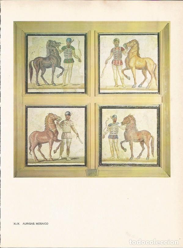 Postkarten: LAMINA 27498: Mosaico romano de aurigas - Raymonde de Gans