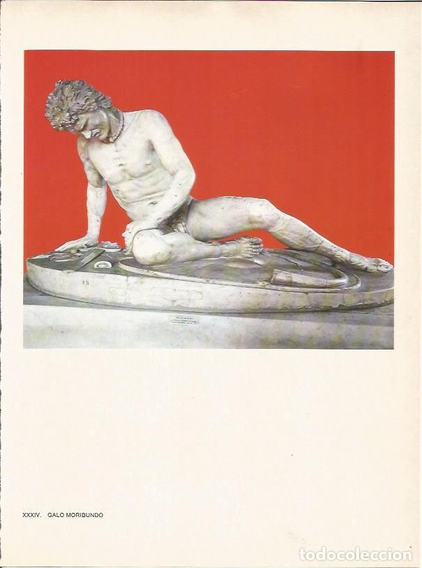 Postales: LAMINA 27483: Galo moribundo - Raymonde de Gans