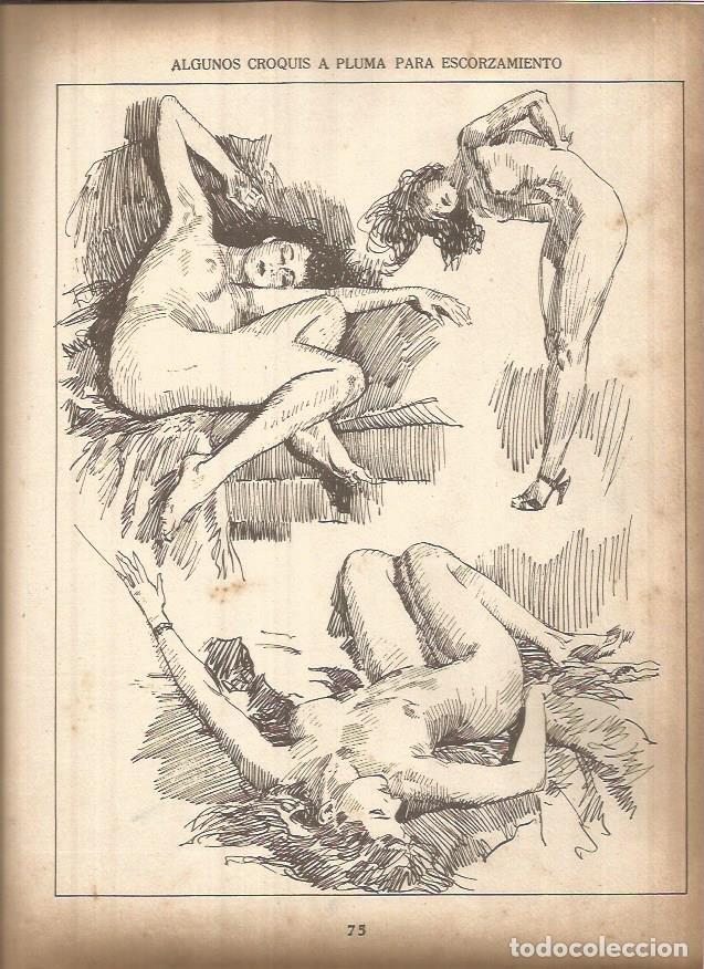 Postkarten: LAMINA V01436: Lamina 26 - Andrew Loomis