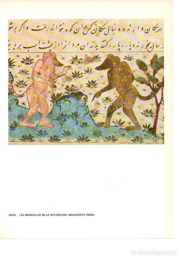 Postcards: LAMINA 27879: Las maravillas de la naturaleza. Manuscrito persa - Raymonde de Gans