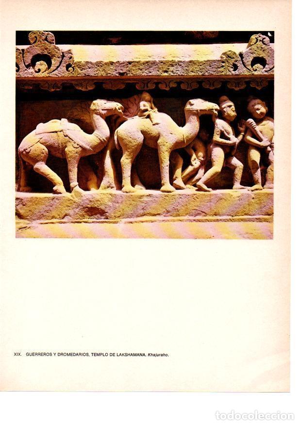 Postales: LAMINA 28033: Guerreros y dromedarios del templo de Lakshamana, Khajuraho - Raymonde de Gans