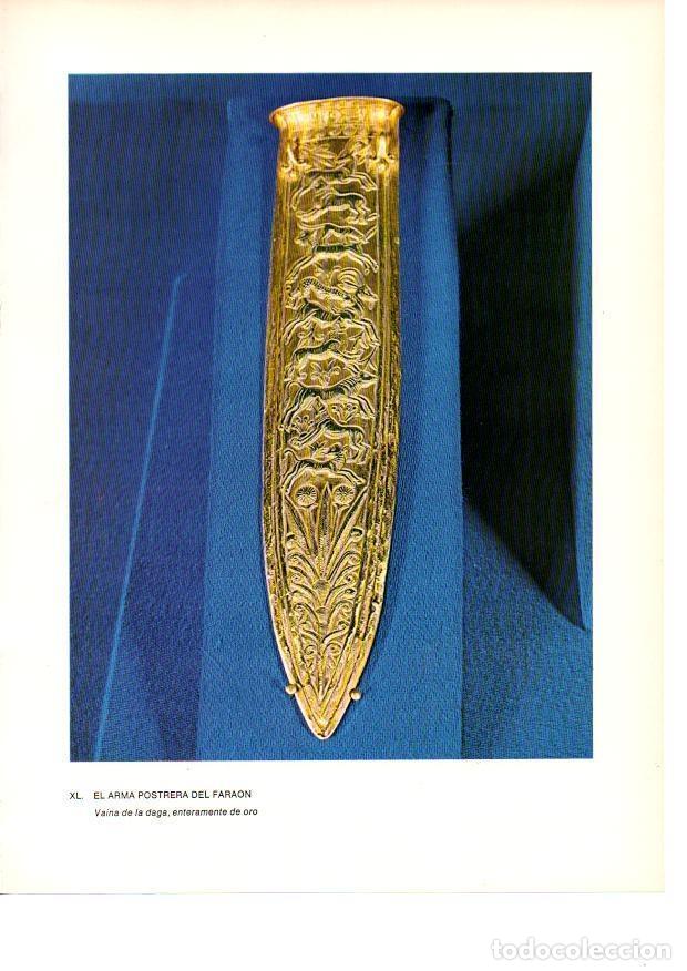Postais: LAMINA 27942: Vaina del arma postrera de Tutankhamon - Raymonde de Gans