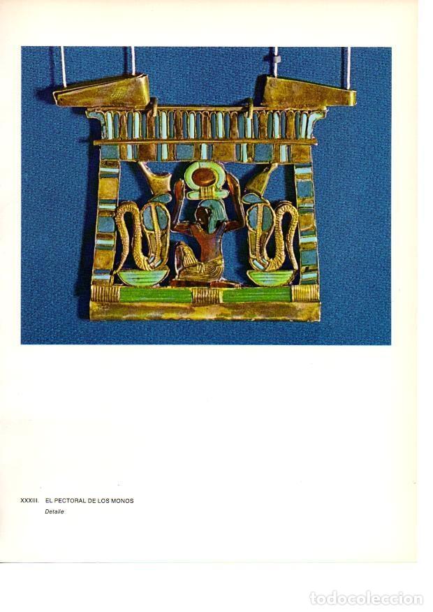 Postais: LAMINA 27935: Tumba de Tutankhamon, pectoral de los Monos - Raymonde de Gans