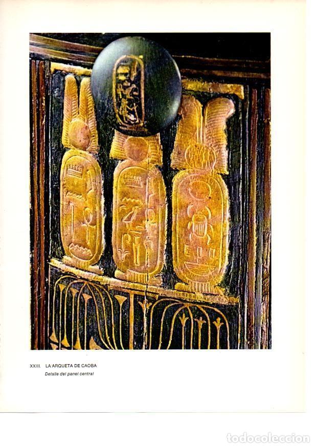 Postcards: LAMINA 27925: Detalle de la Arqueta de la tumba de Tutankhamon - Raymonde de Gans