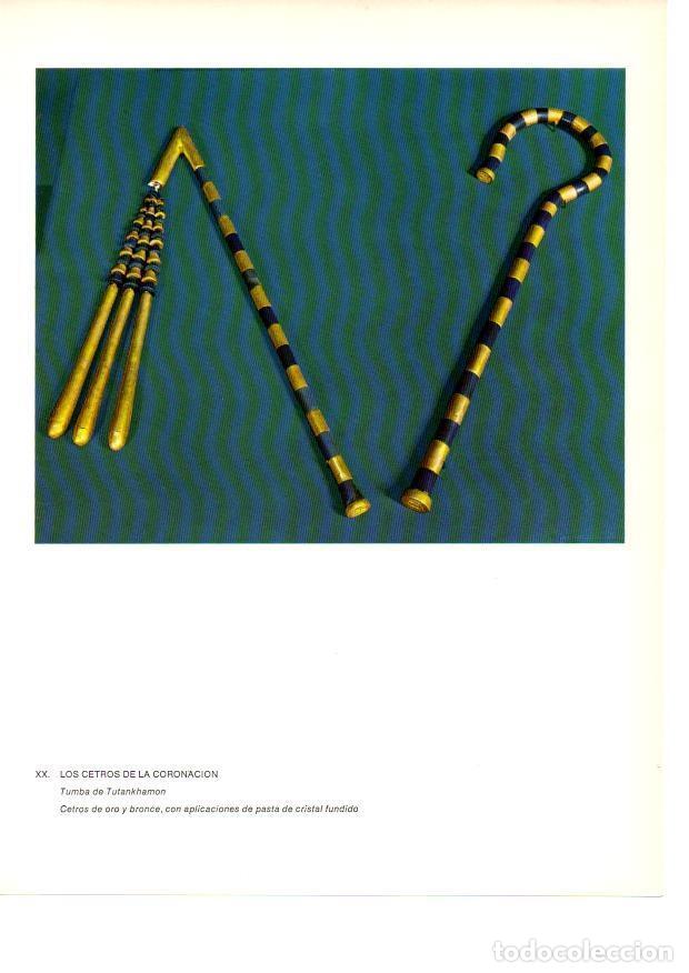 Cartoline: LAMINA 27922: Cetros de la Coronacion de la Tumba de Tutankhamon - Raymonde de Gans