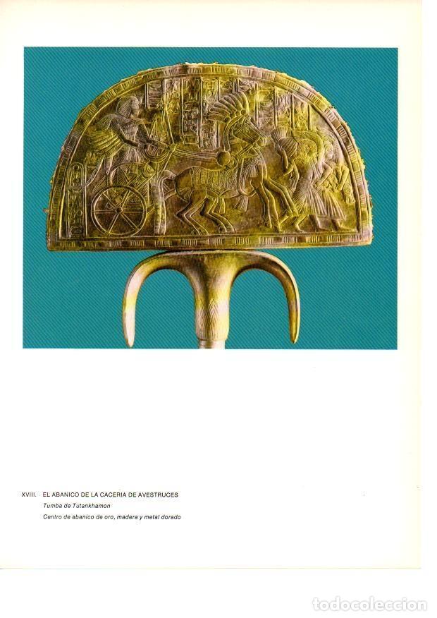Postkarten: LAMINA 27920: Abanico de la Caceria de Avestruces, Egipto - Raymonde de Gans