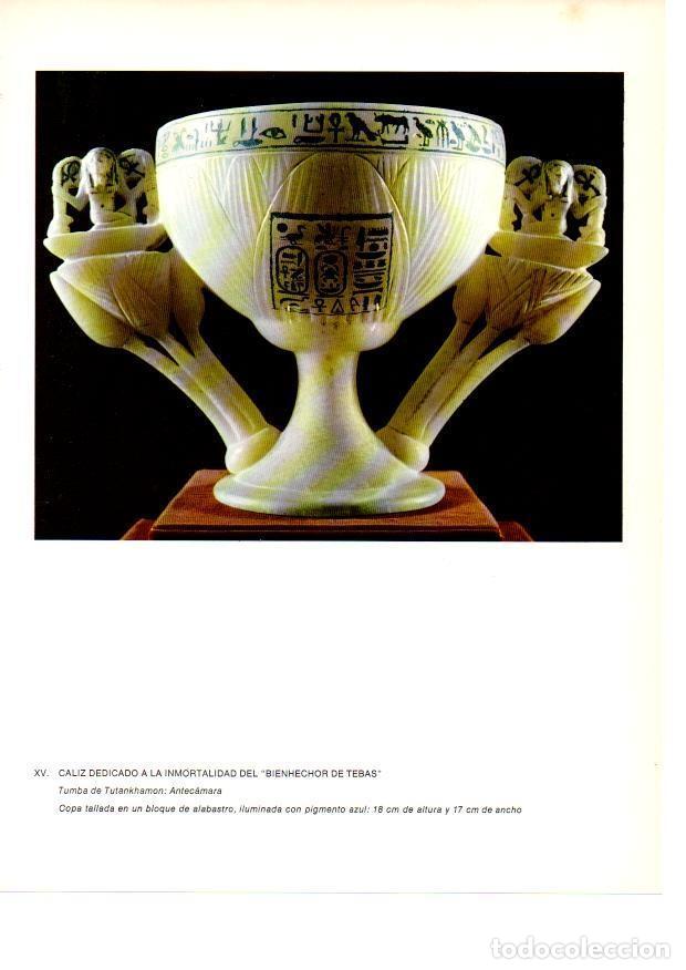 Postkarten: LAMINA 27917: Caliz del Bienhechor de Tebas, Egipto - Raymonde de Gans