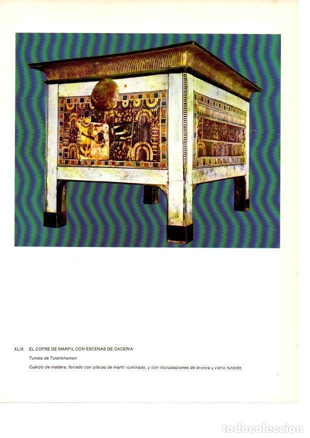 Postcards: LAMINA 27951: Cofre con escenas de caceria de la tumba de Tutankhamon - Raymonde de Gans