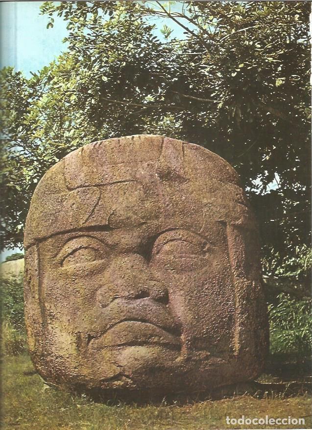 Cartoline: LAMINA V01227: Cabeza gigante Olmeca, La Venta en Mejico - VVAA