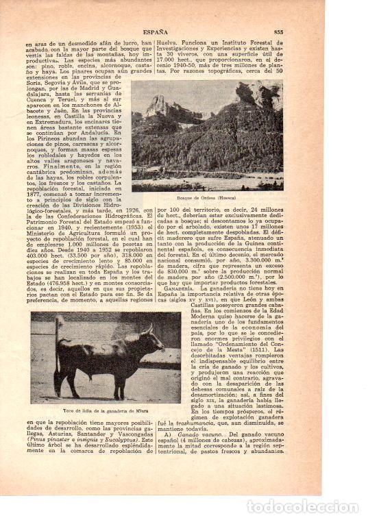 Postkarten: LAMINA 39010: Bosque de Ordesa, Huesca - VVAA