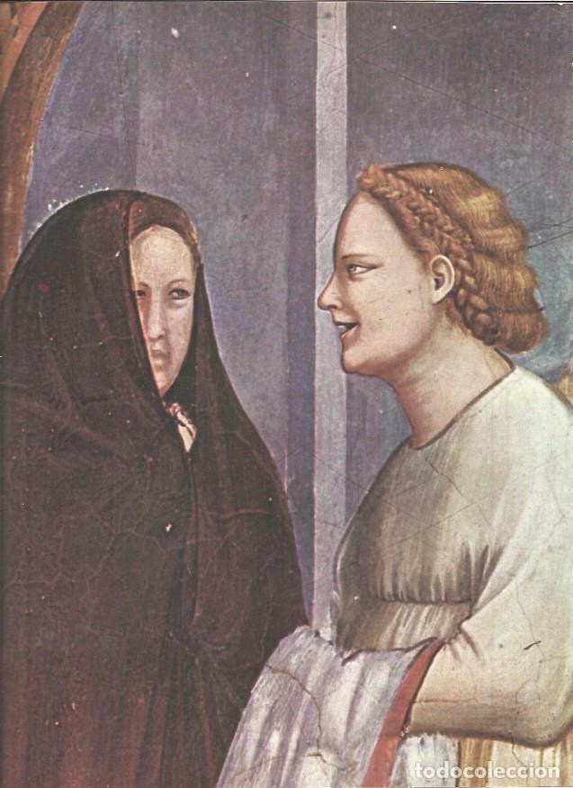 Postcards: LAMINA V01250: Reconciliacion de San Joaquin y Santa Ana ante la Puerta Dorada por Giotto - VVAA