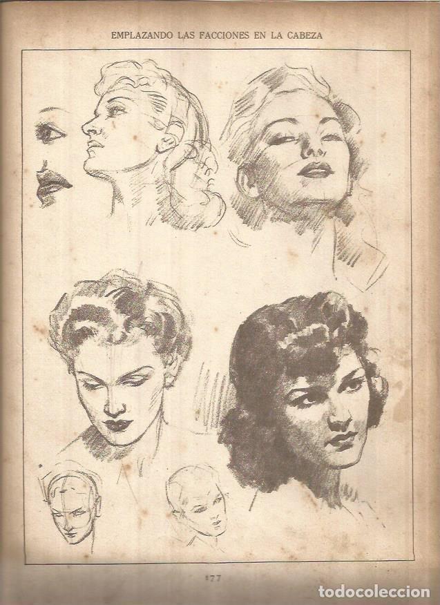 Cartoline: LAMINA V01486: Lamina 76 - Andrew Loomis