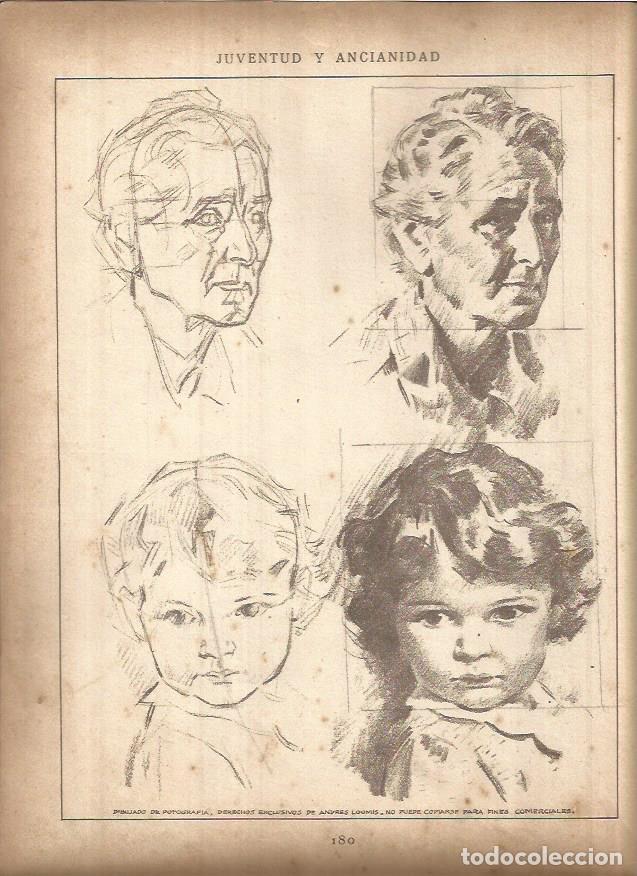 Postcards: LAMINA V01485: Lamina 75 - Andrew Loomis
