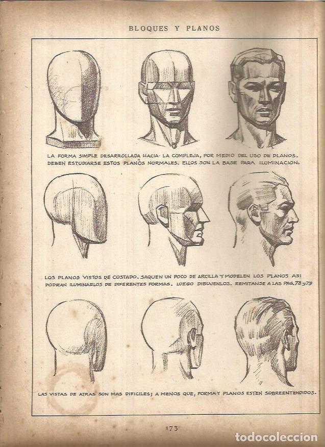 Cartoline: LAMINA V01483: Lamina 73 - Andrew Loomis