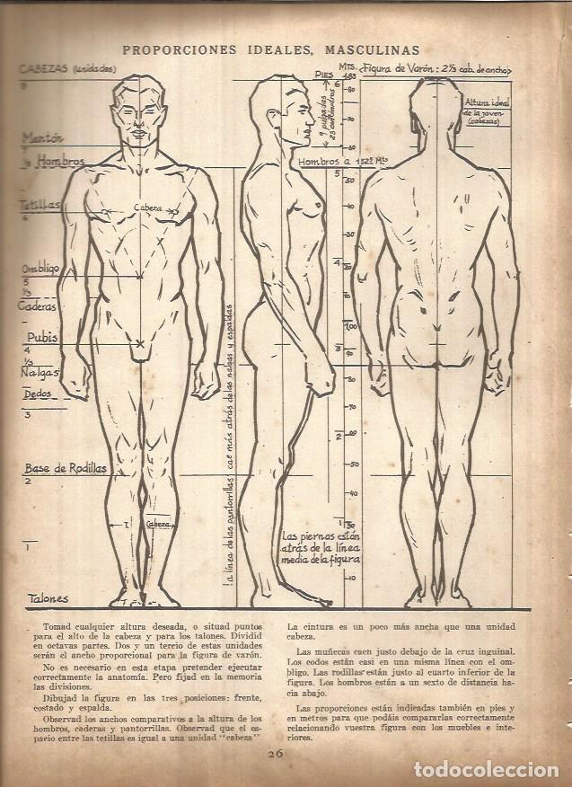 Cartoline: LAMINA V01412: Lamina 2 - Andrew Loomis