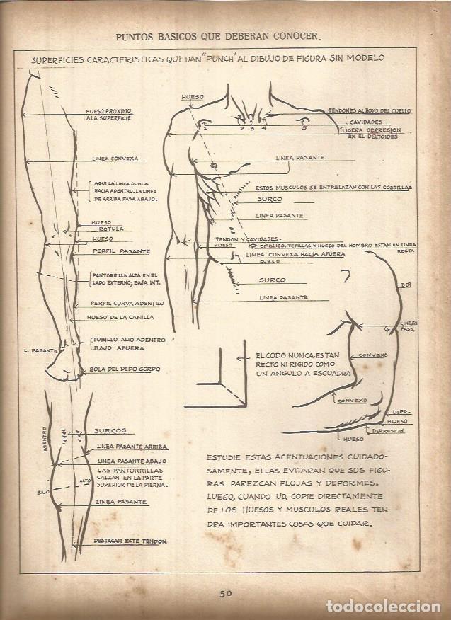 Cartoline: LAMINA V01424: Lamina 14 - Andrew Loomis