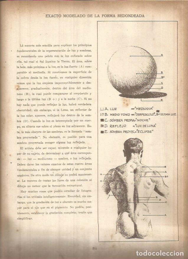 Cartoline: LAMINA V01439: Lamina 29 - Andrew Loomis