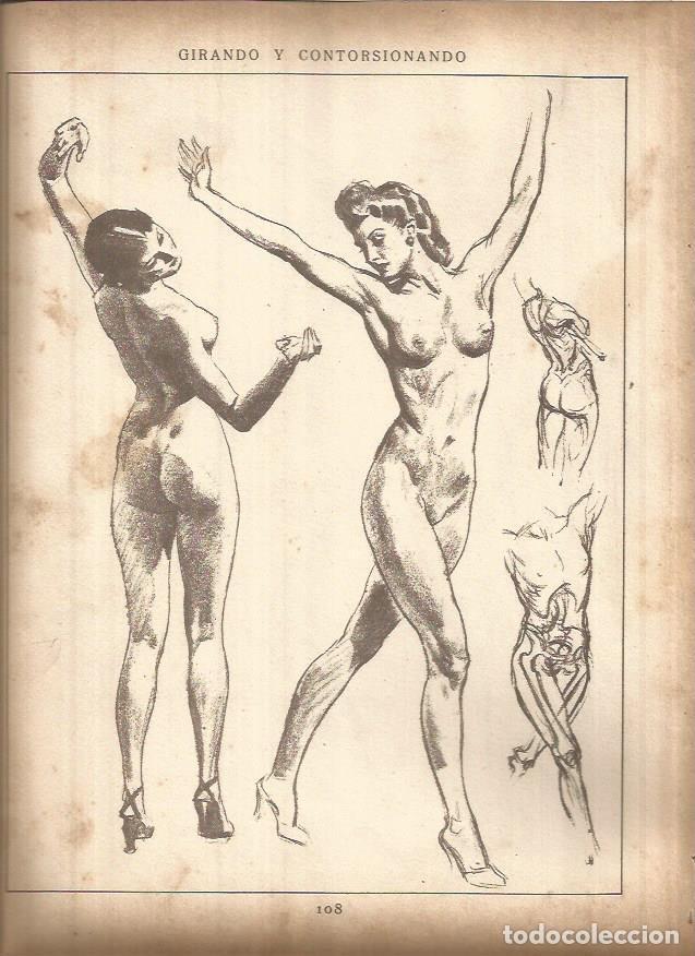 Postkarten: LAMINA V01451: Lamina 41 - Andrew Loomis