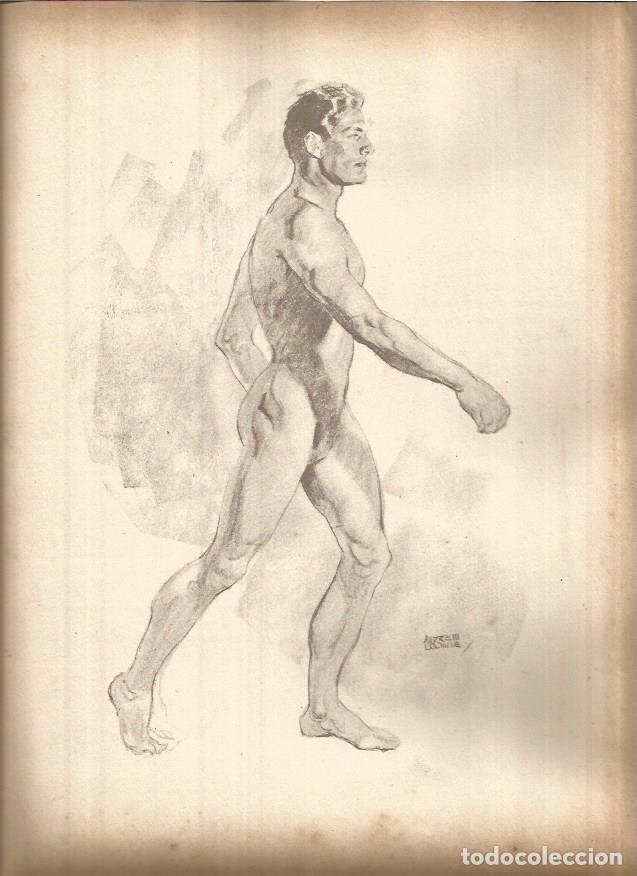Cartoline: LAMINA V01454: Lamina 44 - Andrew Loomis
