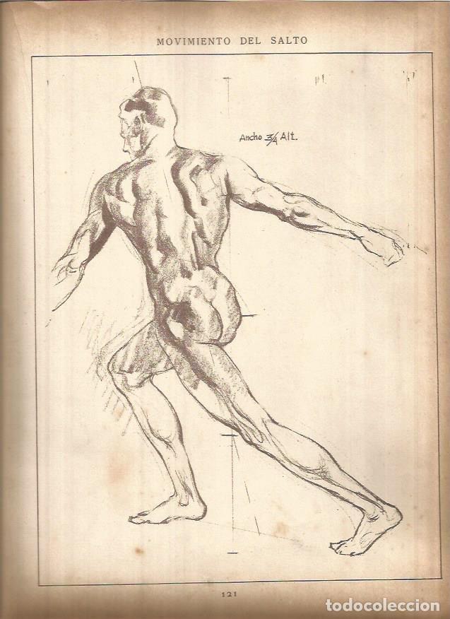 Postales: LAMINA V01457: Lamina 47 - Andrew Loomis