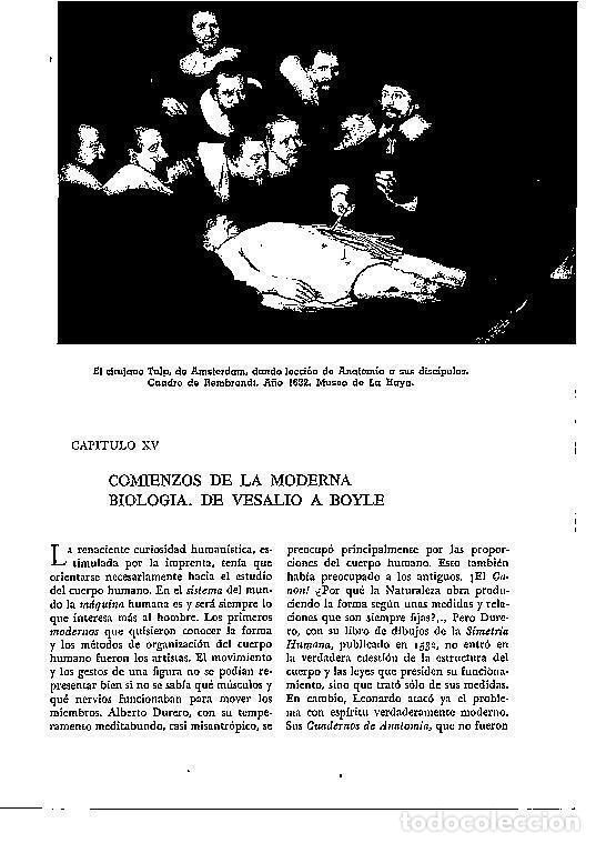 Postais: LAMINA 28154: Leccion de anatomia, por Rembrandt - Josep Pijoan