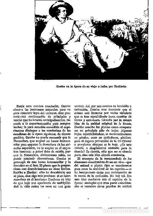 Postales: LAMINA 28271: Goethe en Italia, por Tischbein - Josep Pijoan