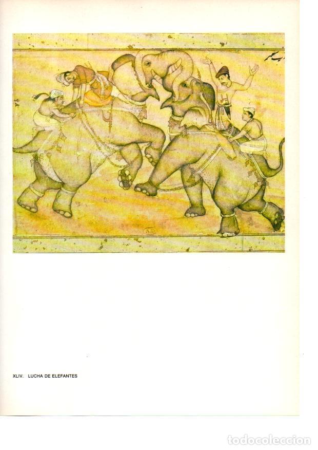 Postais: LAMINA 27889: Lucha de elefantes - Raymonde de Gans