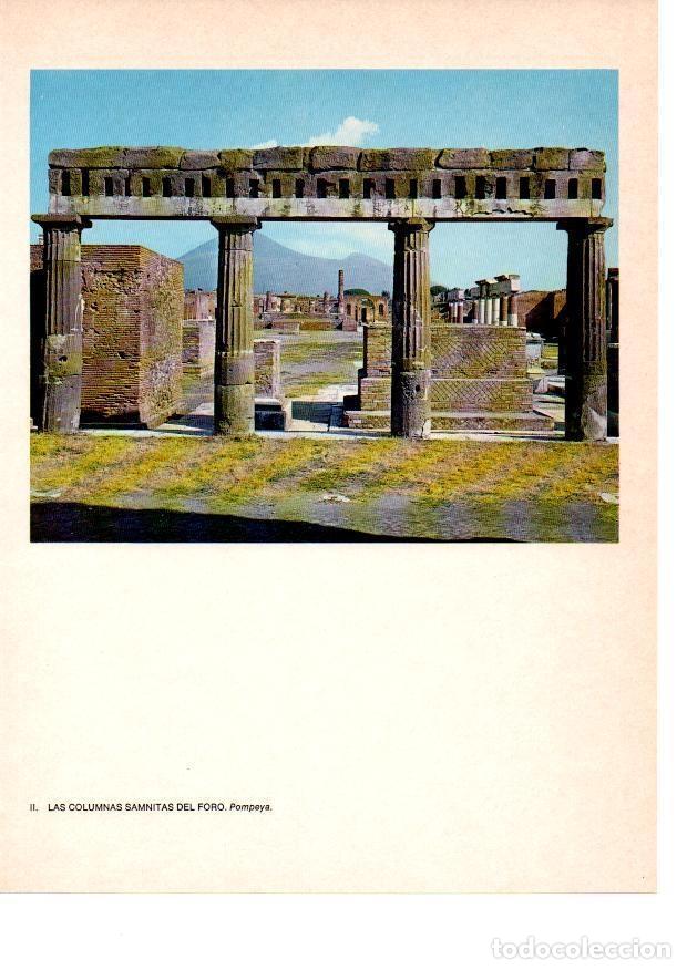 Postcards: LAMINA 27791: Columnas del foro de Pompeya - Raymonde de Gans
