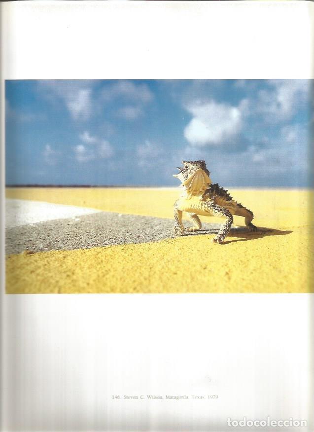 Postkarten: LAMINA V02198: Steve C. Wilson, Matagorda, Texas, 1970 - Varios