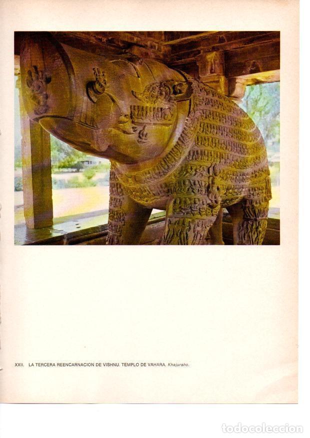 Postcards: LAMINA 28036: Tercera reencarnacion de Vishnu, Templo de Vahara, Khajuraho - Raymonde de Gans