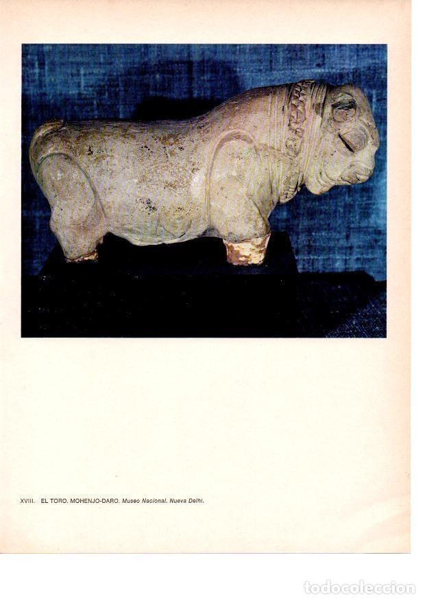 Cartes Postales: LAMINA 28032: El Toro, Mohenjo-Daro, India - Raymonde de Gans