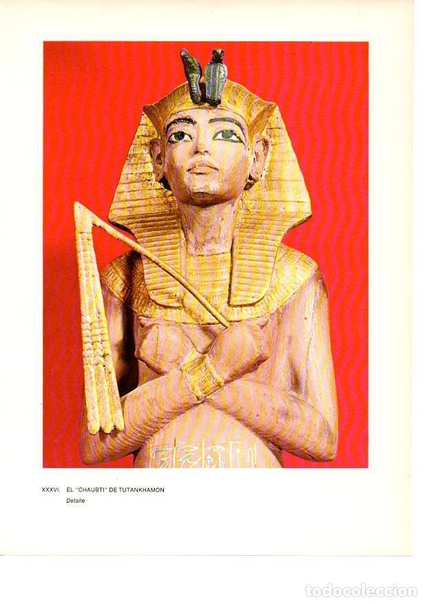Postais: LAMINA 27938: Detalle del Chaubti de Tutankhamon - Raymonde de Gans