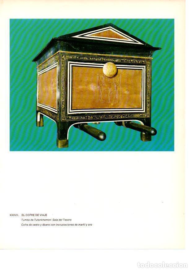 Postcards: LAMINA 27939: El cofre de viaje de la tumba de Tutankhamon - Raymonde de Gans