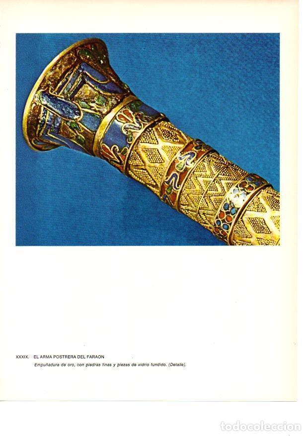 Postkarten: LAMINA 27941: Empu&ntilde;adura del arma postrera de Tutankhamon - Raymonde de Gans