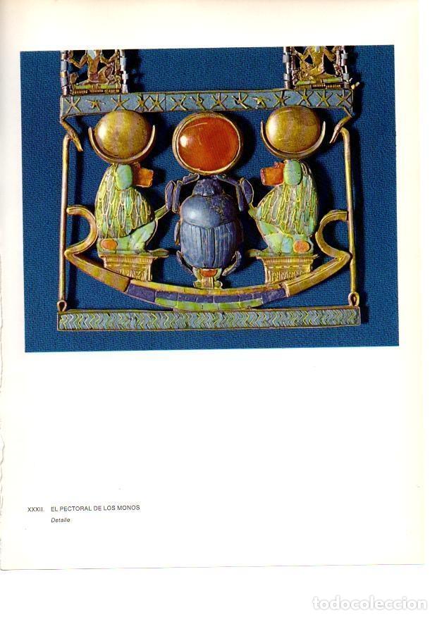 Postais: LAMINA 27934: Detalle del pectoral de los monos. Tumba de Tutankhamon - Raymonde de Gans