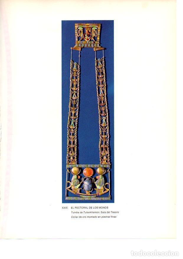 Cartoline: LAMINA 27933: El pectoral de los monos. Tumba de Tutankhamon - Raymonde de Gans