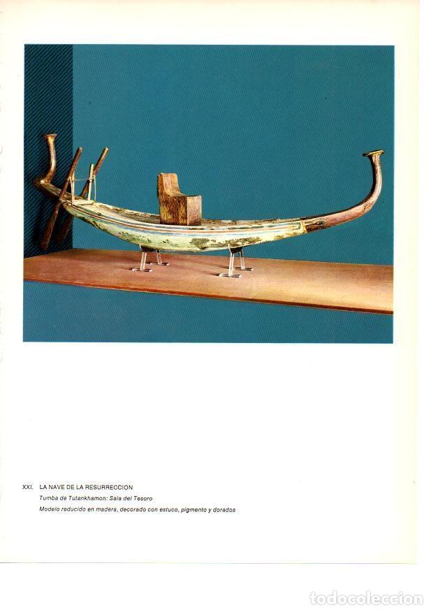 Postais: LAMINA 27923: Nave de la Resurreccion de la tumba de Tutankhamon - Raymonde de Gans