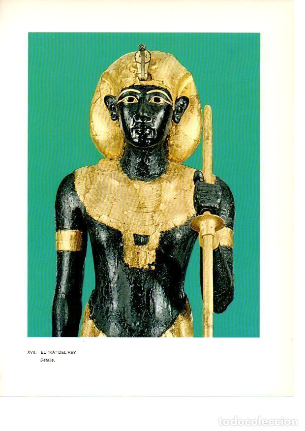 Postkarten: LAMINA 27918: Detalle del Ka del Rey Tutankhamon - Raymonde de Gans