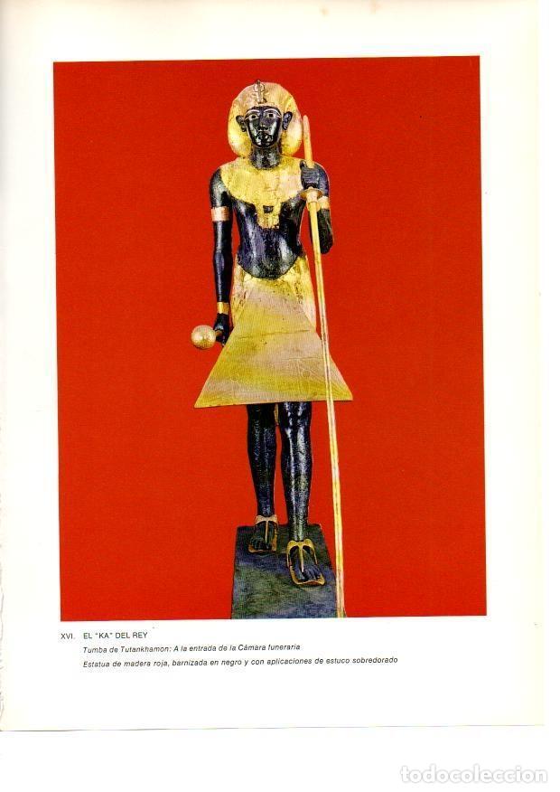 Postcards: LAMINA 27918: El Ka del Rey Tutankhamon - Raymonde de Gans