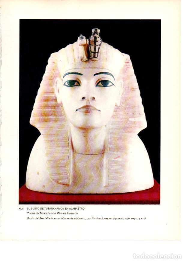 Postkarten: LAMINA 27947: Cabeza de alabastro de Tutankhamon - Raymonde de Gans