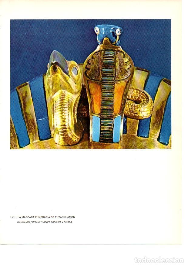 Postais: LAMINA 27958: Detalle de la mascara funeraria de Tutankhamon - Raymonde de Gans