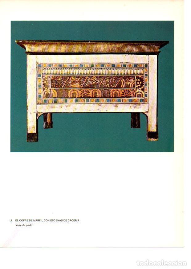 Postales: LAMINA 27953: Perfil del cofre con escenas de caceria de la tumba de Tutankhamon - Raymonde de Gans