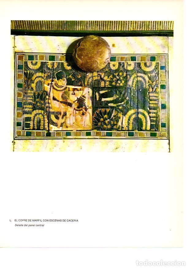 Postkarten: LAMINA 27952: Panel central del cofre con escenas de caceria de la tumba de Tutankhamon - Raymonde d