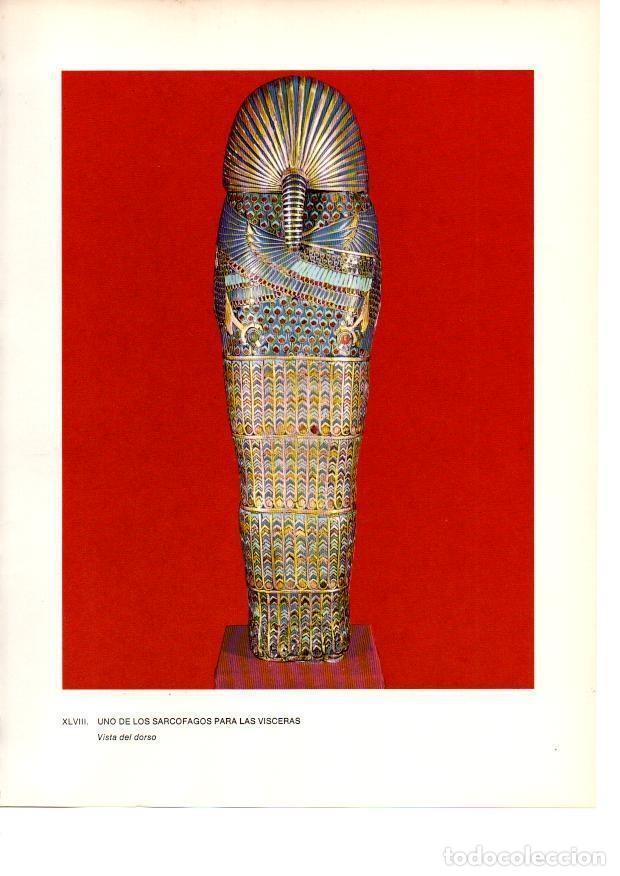 Postcards: LAMINA 27950: Dorso de un sarcofago para visceras de la tumba de Tutankhamon - Raymonde de Gans