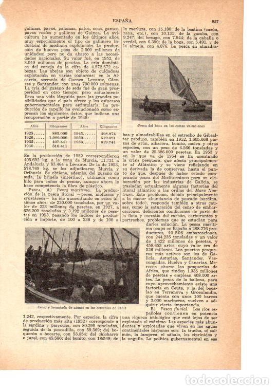 Postkarten: LAMINA 39011: Pesca del Bou en Valencia - VVAA