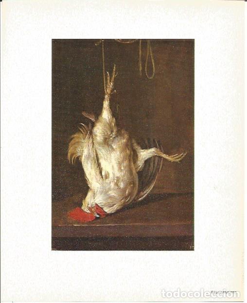 Postais: LAMINA V02125: Gallo muerto por G. Metsu - Varios