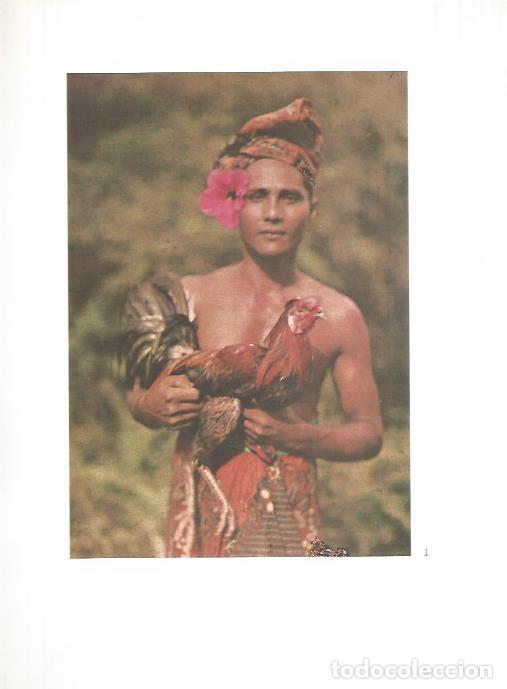 Postkarten: LAMINA V02133: F. Price Knott, Bali, Indonesia, 1927 - Varios