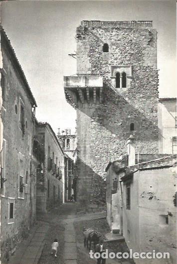 Postales: LAMINA V02033: Caceres. Torre de Espaderos - M. Mu&ntilde;oz de San Pedro, Conde de Canilleros