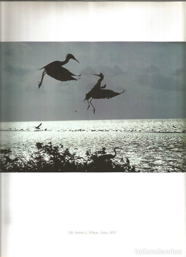 Postales: LAMINA V02200: Steve C. Wilson, Texas, 1979 - Varios